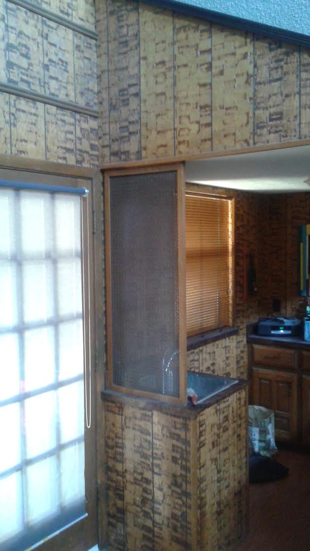 BEFORE & AFTER Delphine's Living Room Makeover