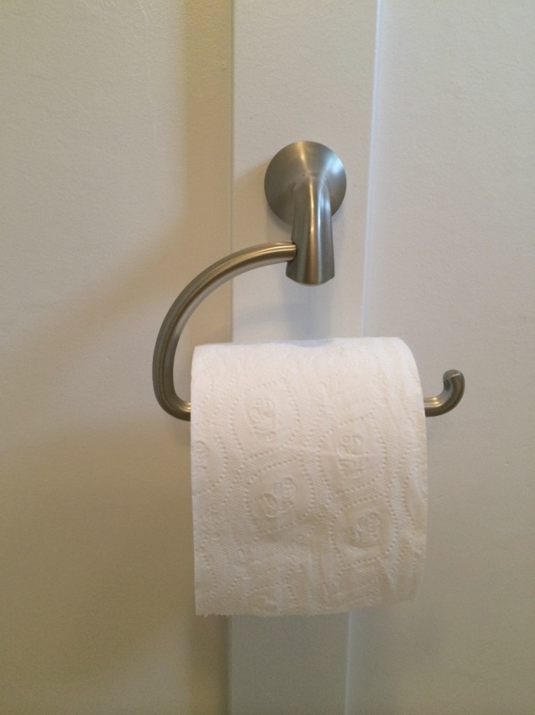 Serena's Bathroom (11)_moen toilet paper holder