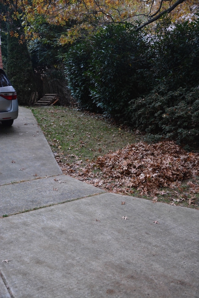 Leaf pile in the yard - Thrift Diving