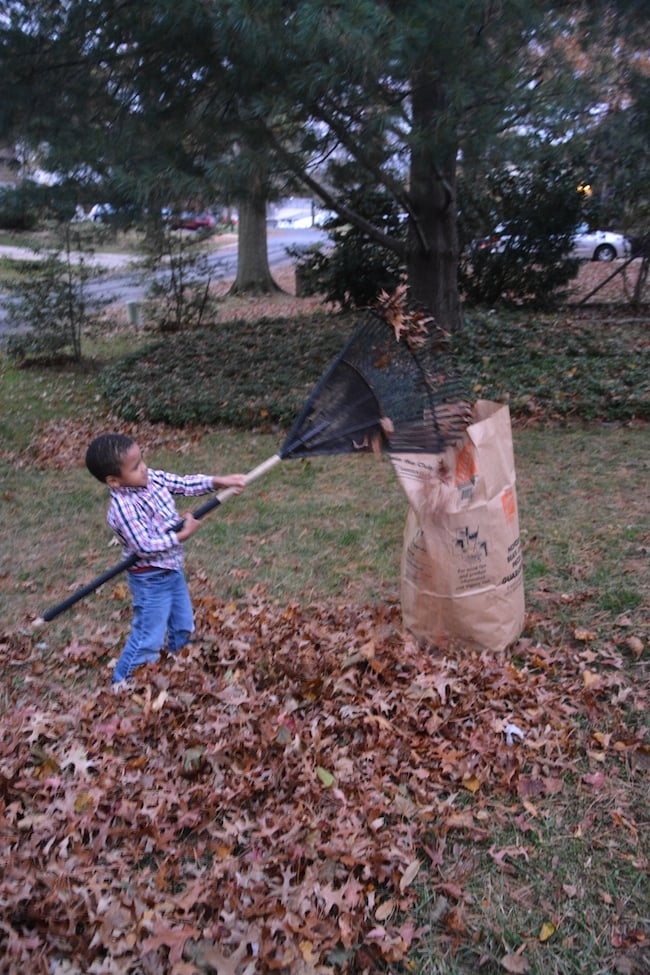 Son helping to clear the leaves - Thrift Diving