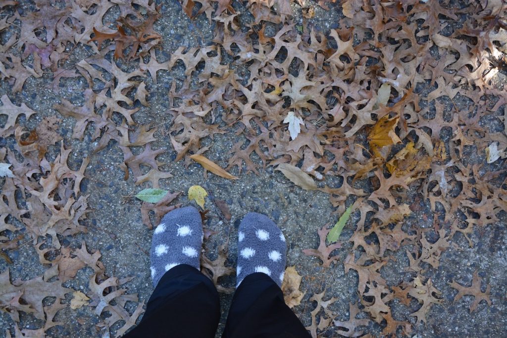 Leaves in the driveway with feet - Thrift Diving