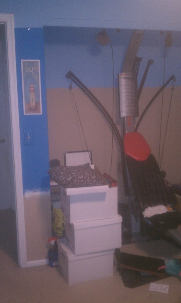 Gina's Home Office Gym 1