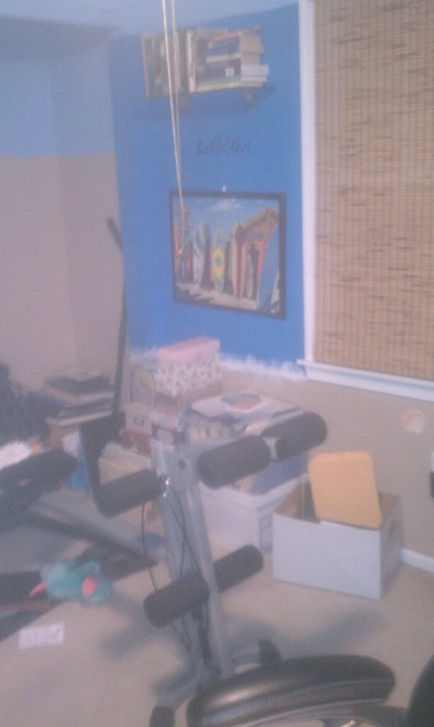 Gina's Home Office Gym 2