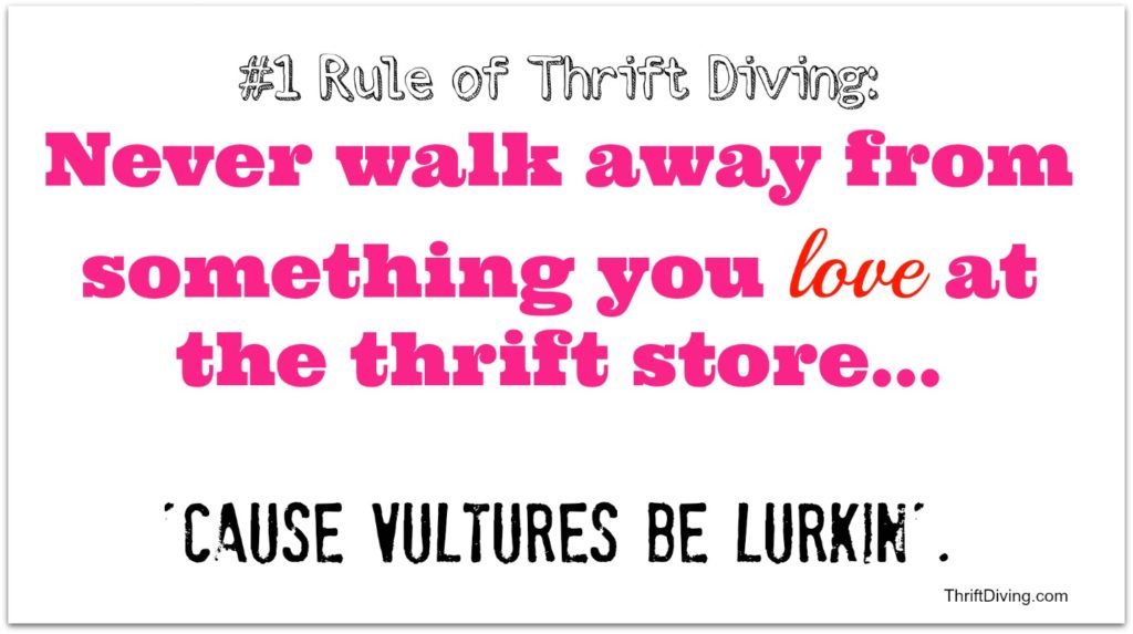 1-Never walk away from something you love at the thrift store - Thrift Diving Blog