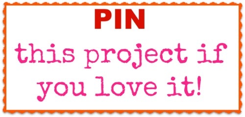 PIN this project if you love it