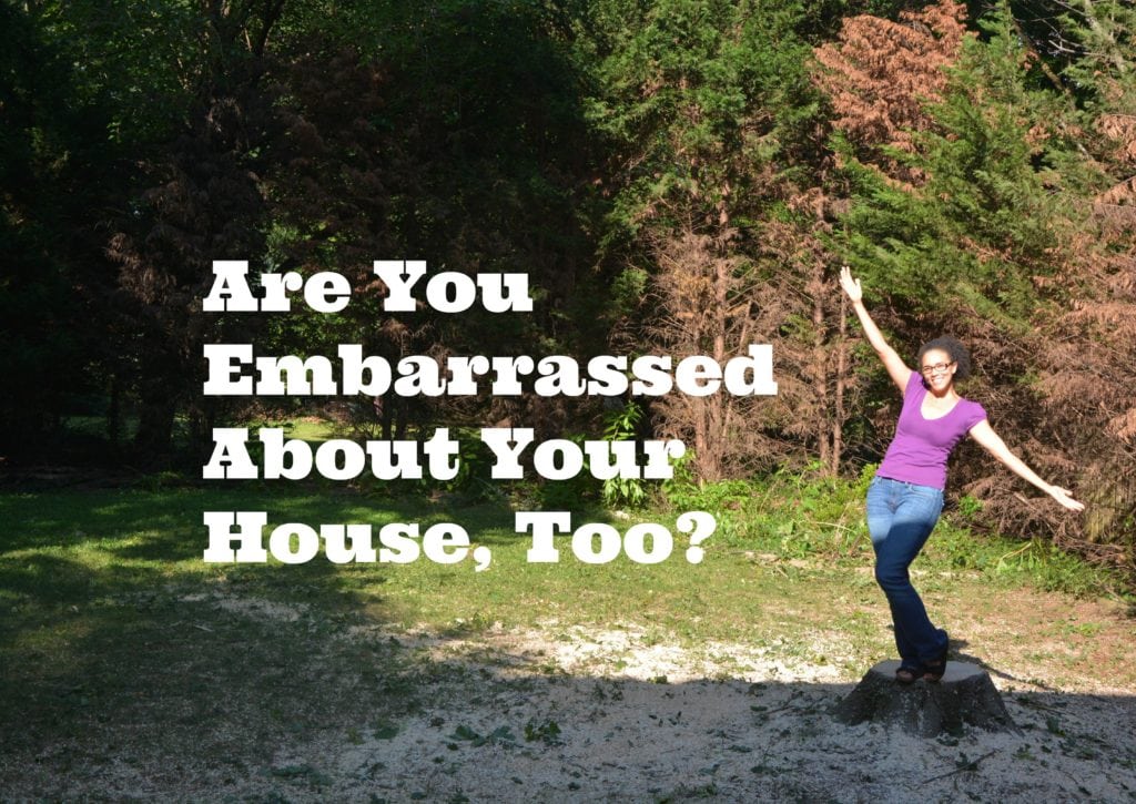 Are You Embarrassed About Your House, Too? - Thrift Diving Blog