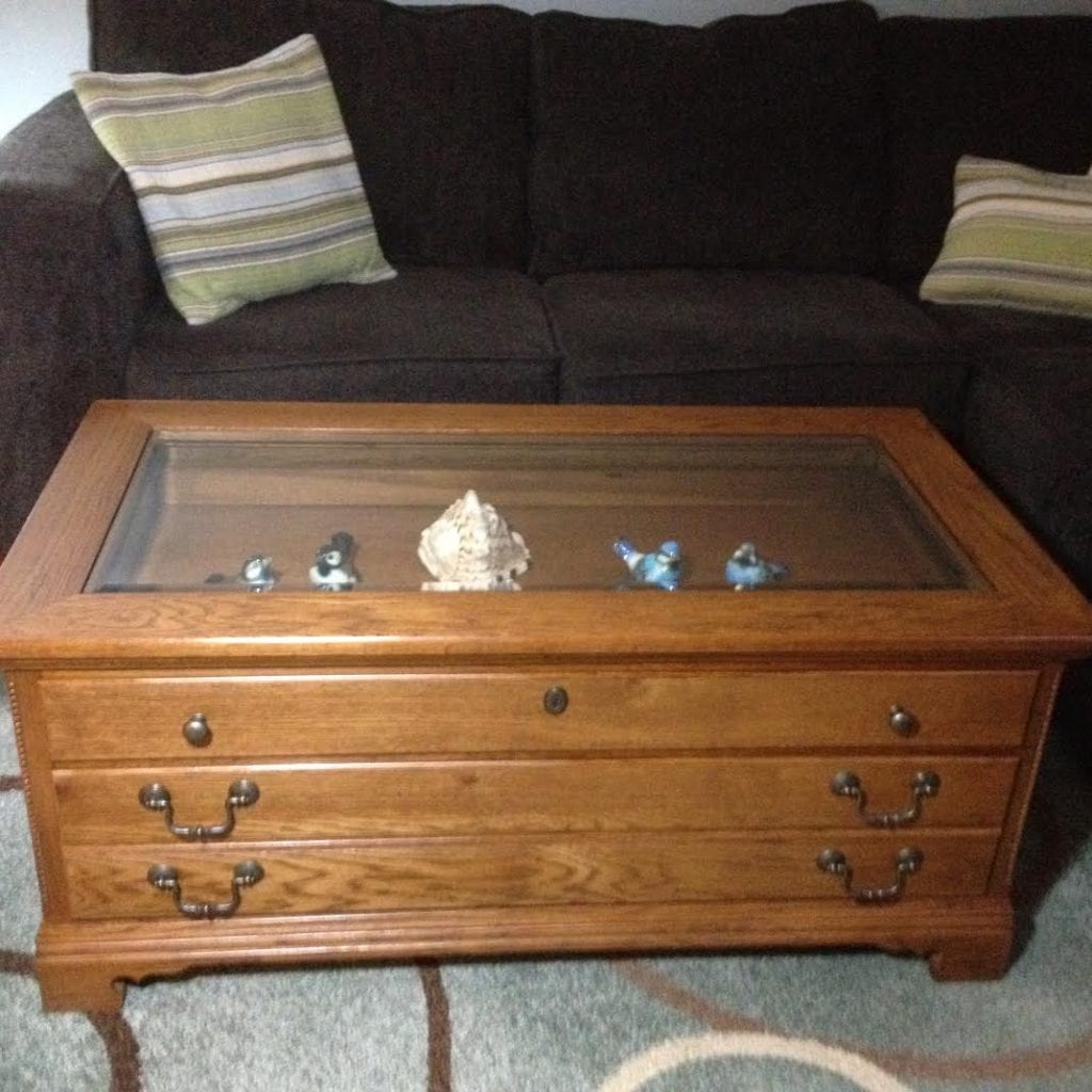 Thrifted coffee table with built-in display