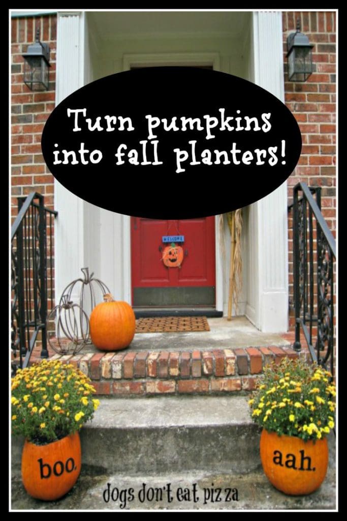 Fall Pumpkin Planters 