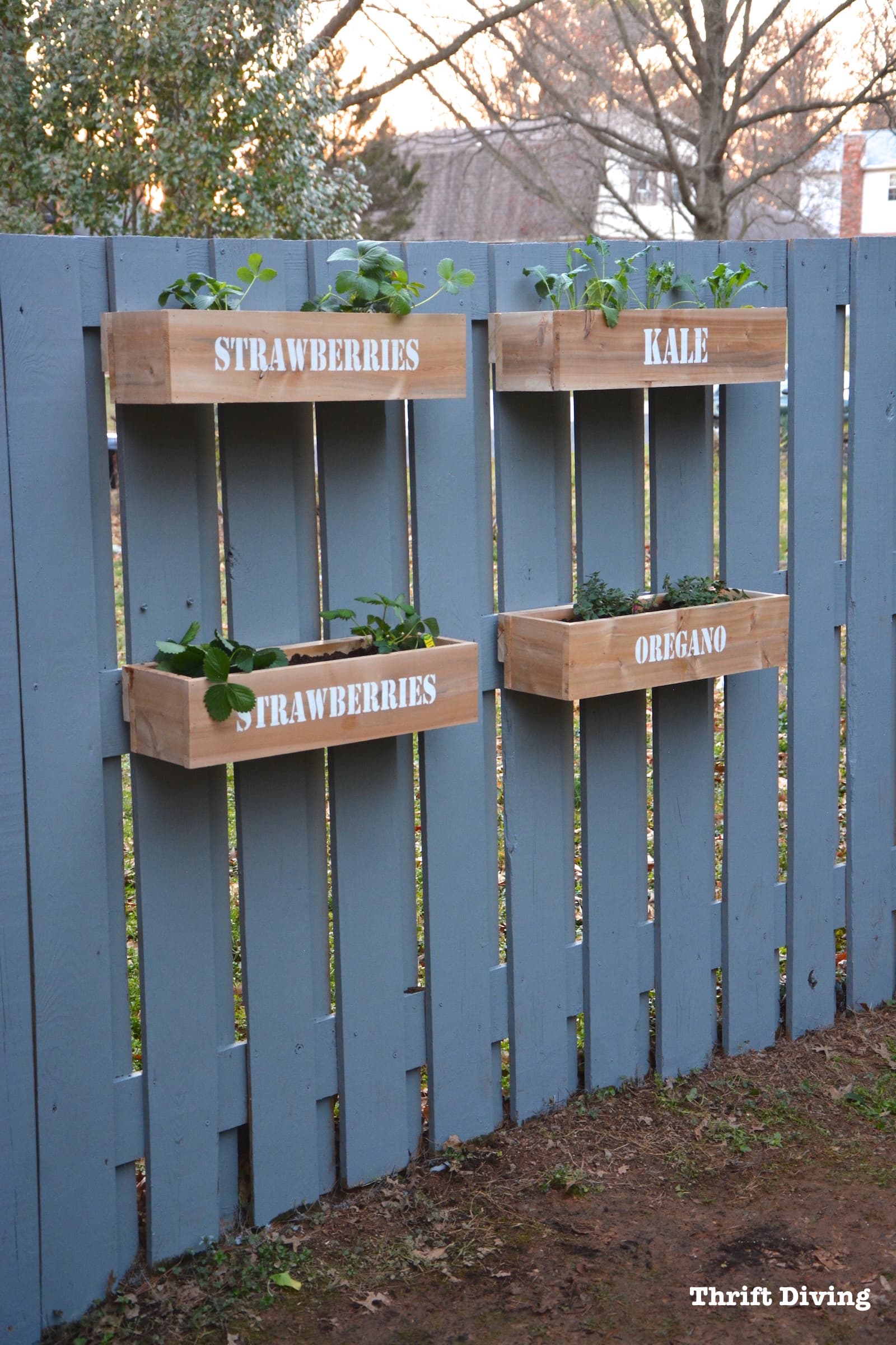 How to Make a Hanging Fence Garden - Thrift Diving Blog