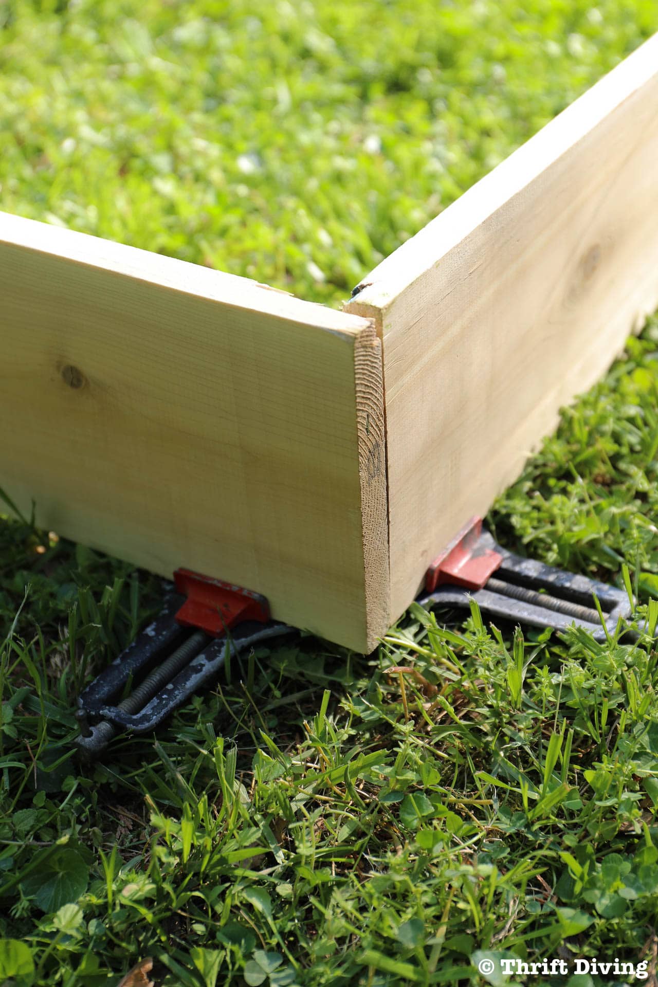 How to Build a Raised Garden Bed Protected With a Metal Fence - Use corner clamps to keep the corners at 90 degrees. - Thrift Diving
