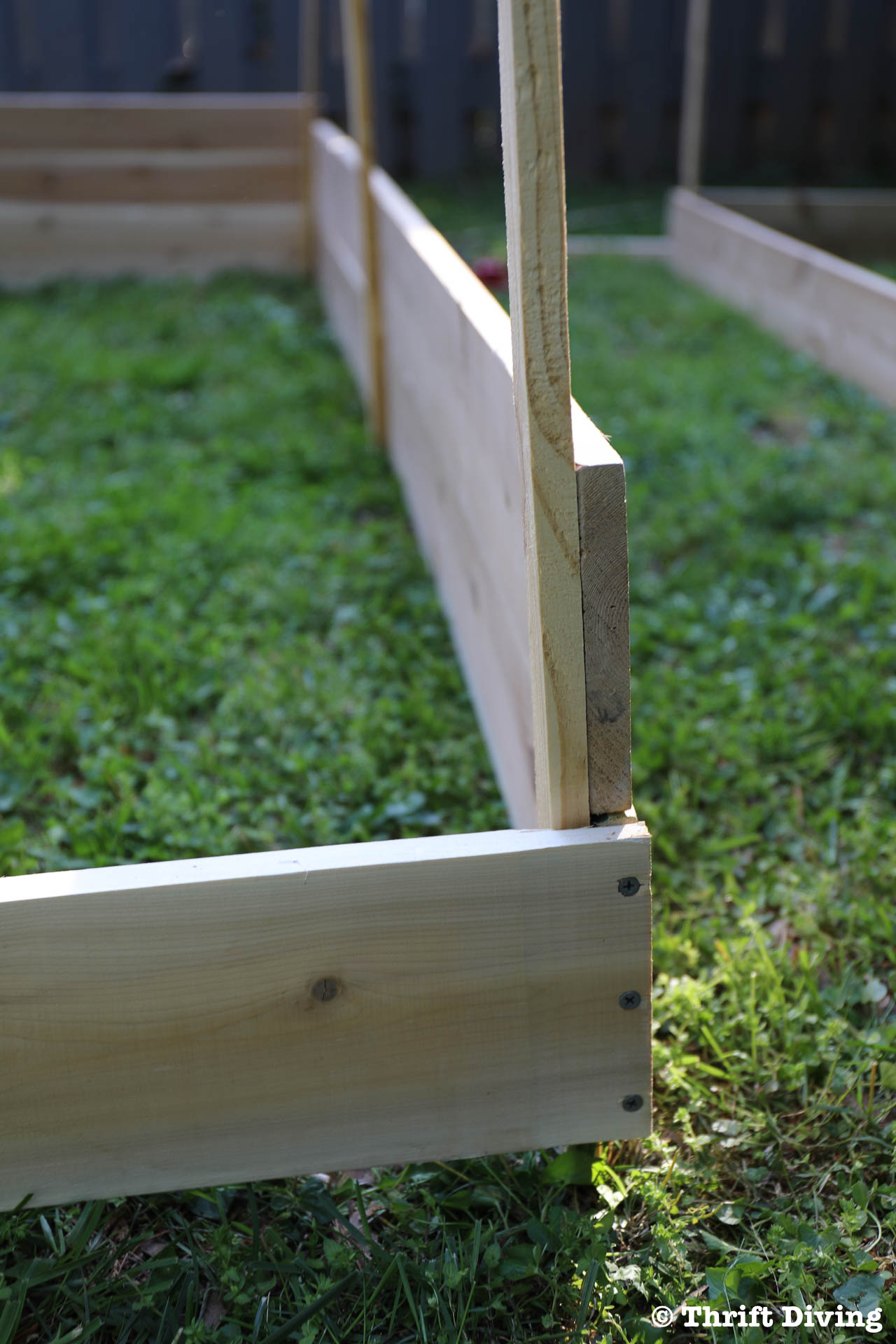 How to Build a Raised Garden Bed Protected With a Metal Fence - Attach the second level of cedar to the stake. - Thrift Diving
