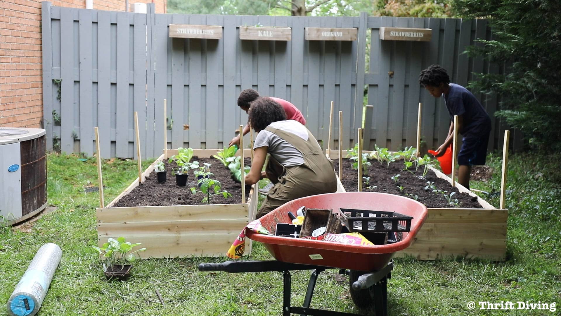 How to Build a Raised Garden Bed Protected With a Metal Fence - Gardening with children. - Thrift Diving