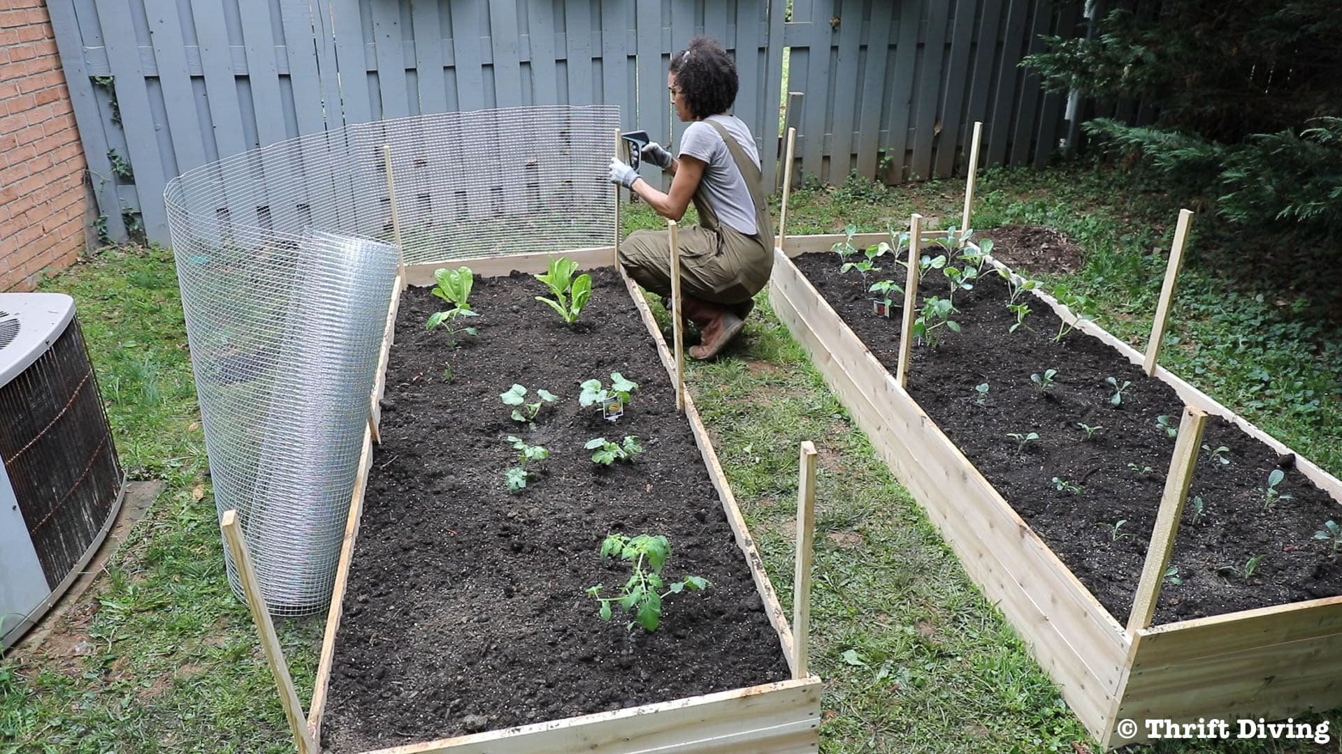 How to Build a Raised Garden Bed Protected With a Metal Fence - Attach metal fencing to stakes to protect plants. - Thrift Diving