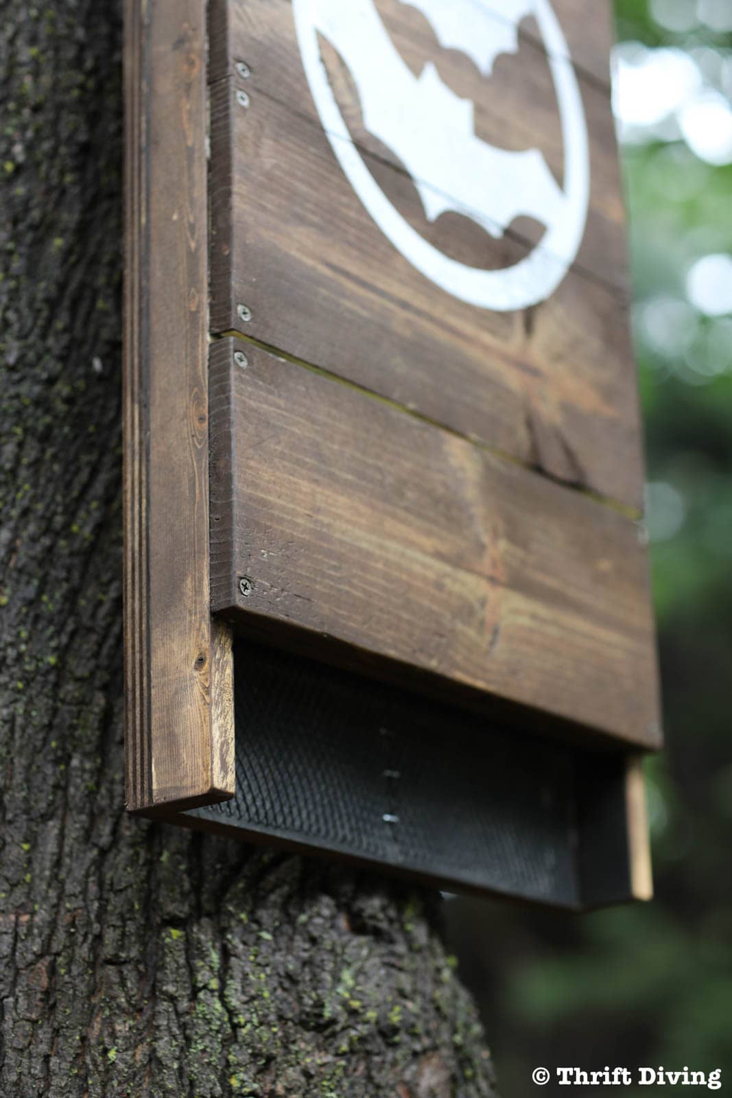 Making a Bat House Using the Rotorazer Saw, My DIY Wood Home Project