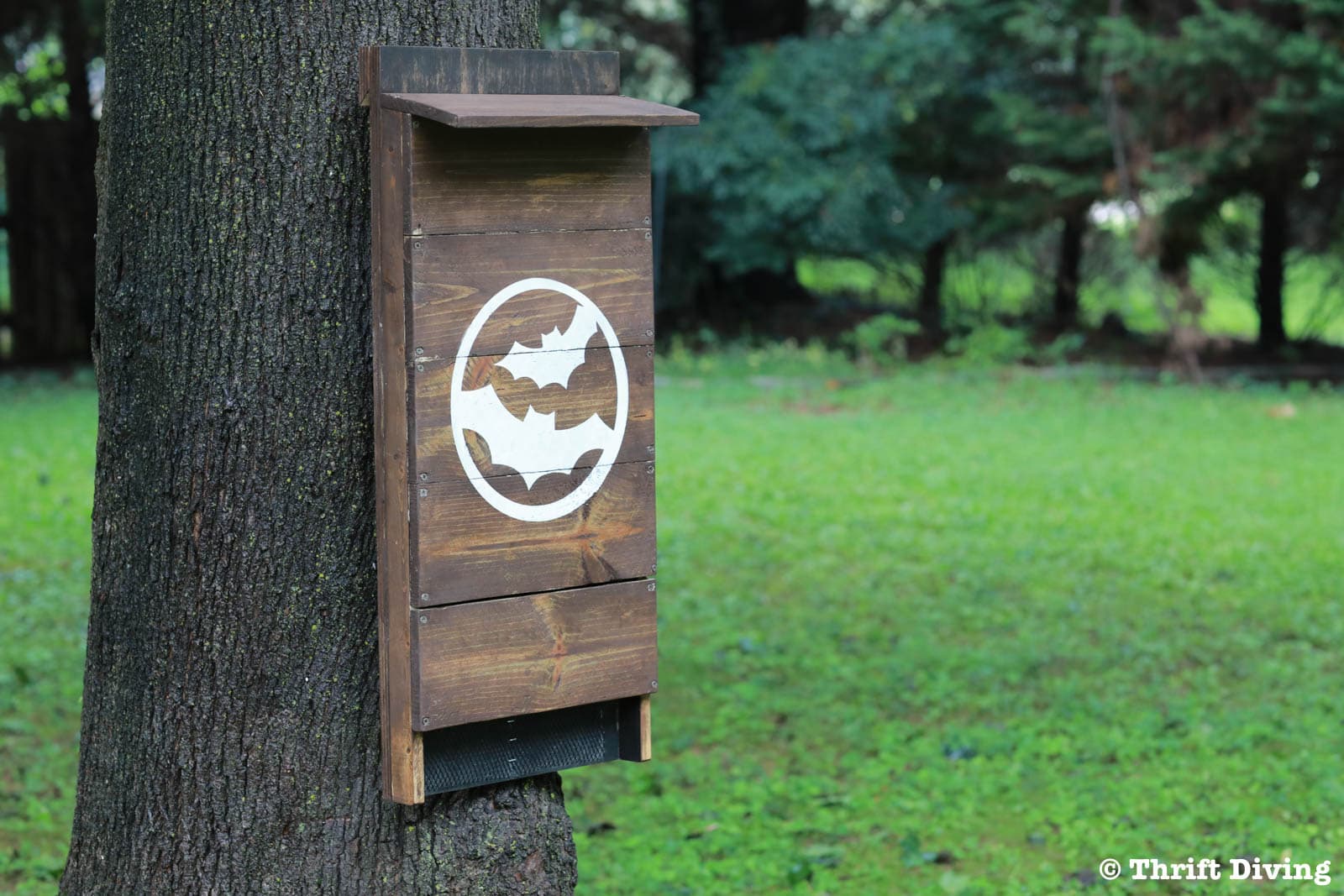 How to Build a DIY Bat House For Your Backyard and Get Rid of Mosquitoes