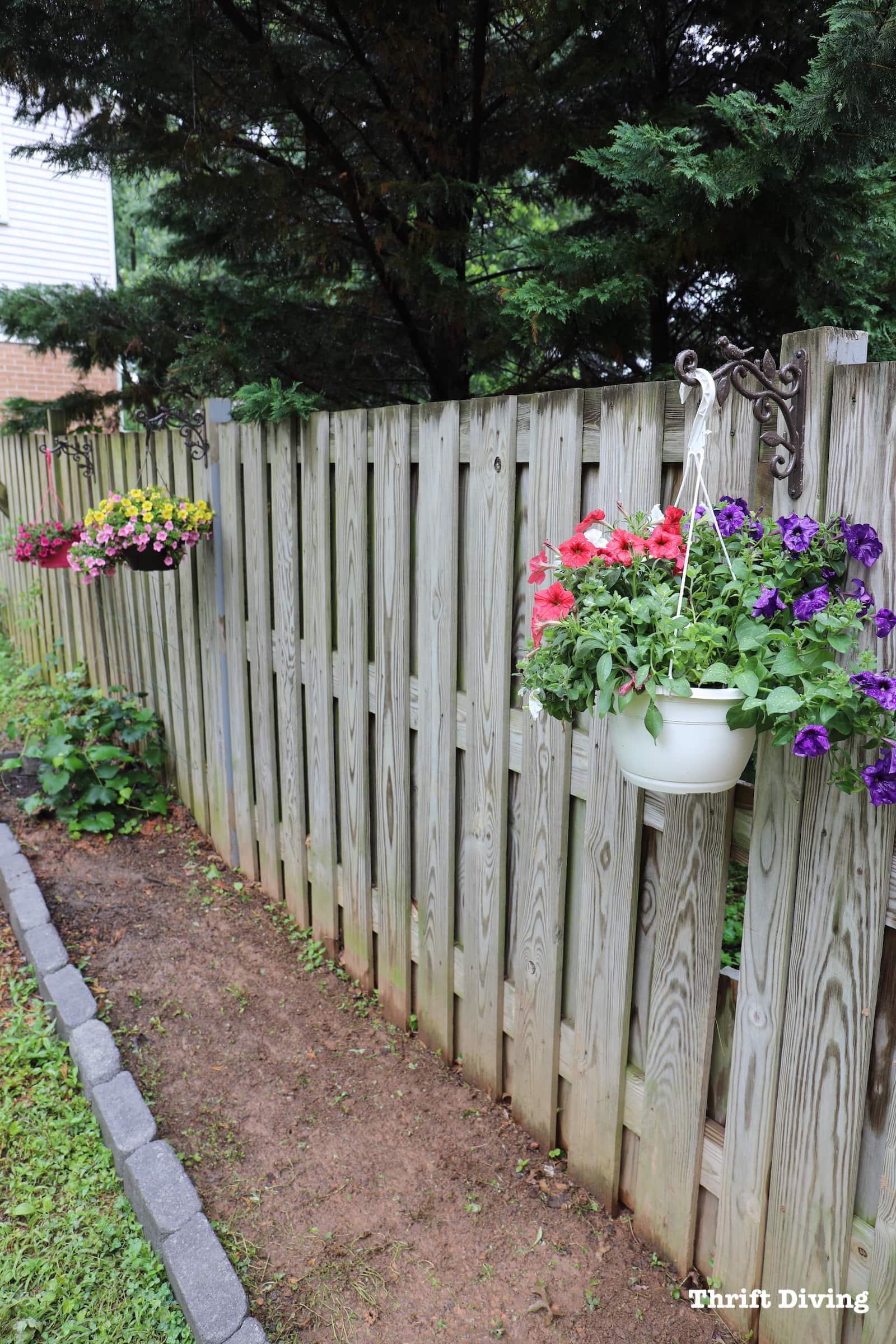 Hanging planter flowers on a fence in a garden.