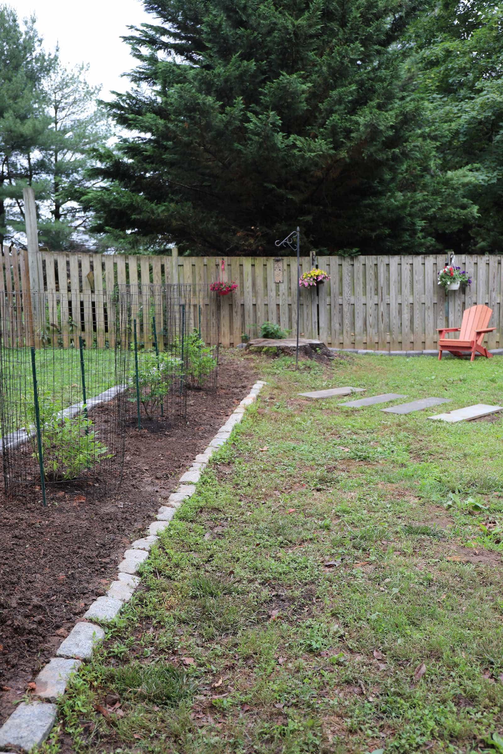 Planting blueberry bushes transformed a strip of yard that separates neighboring lawns. See the BEFORE and AFTER and step-by-step! - Thrift Diving