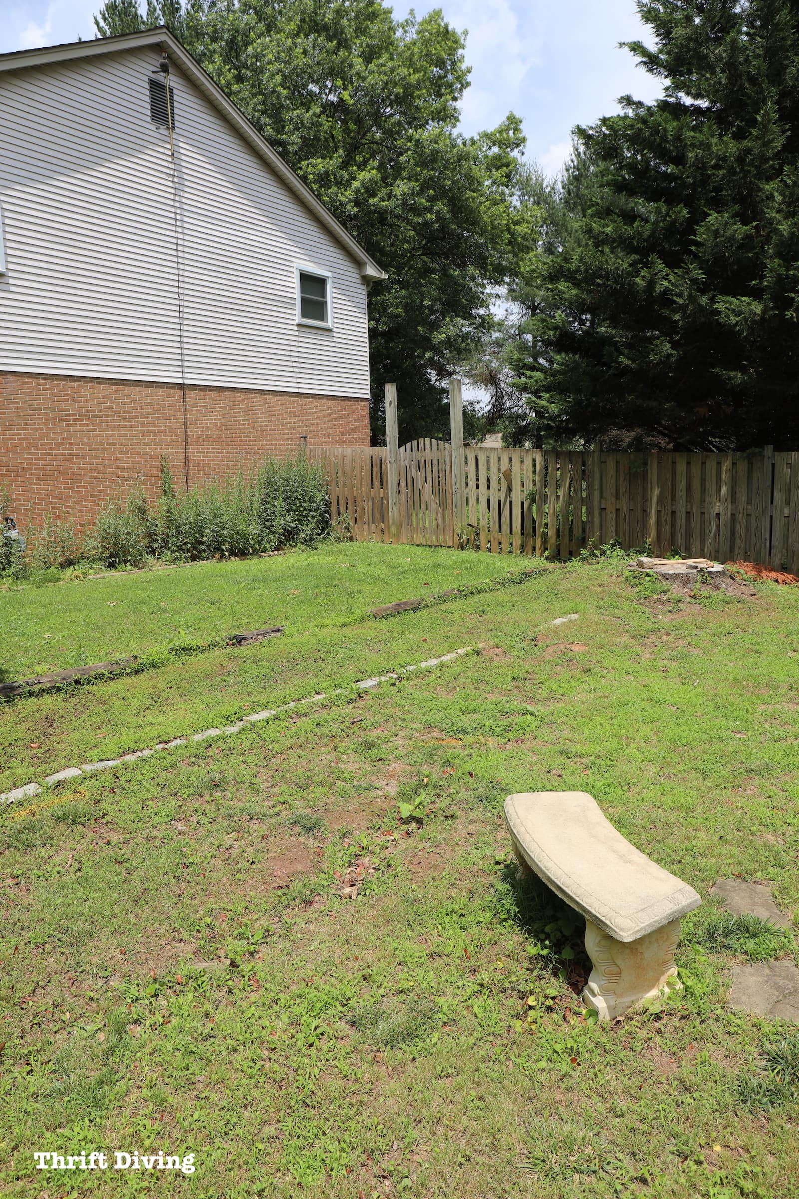 Planting blueberry bushes - Where to plant blueberry bushes and space - BEFORE - Thrift Diving Blog