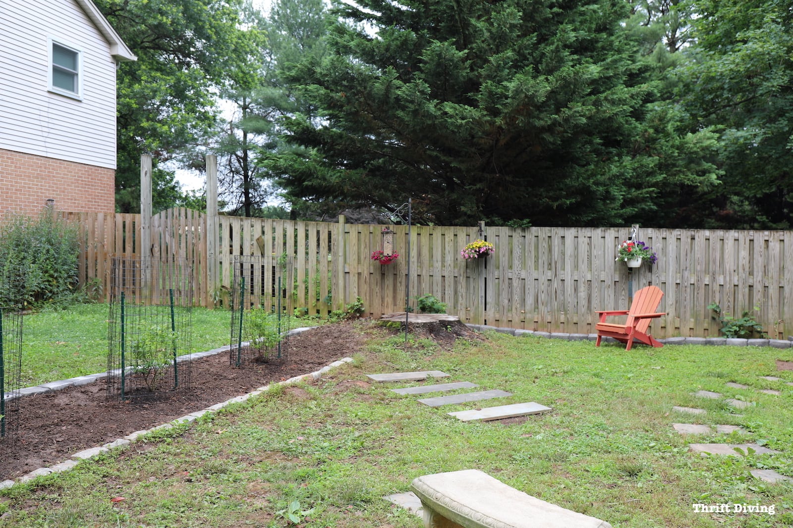 When planting blueberry bushes, find a full sun space in your yard to turn into a blueberry garden. Add some pops of color, a chair, bird feeder, and turn the area into a relaxing garden spot. 