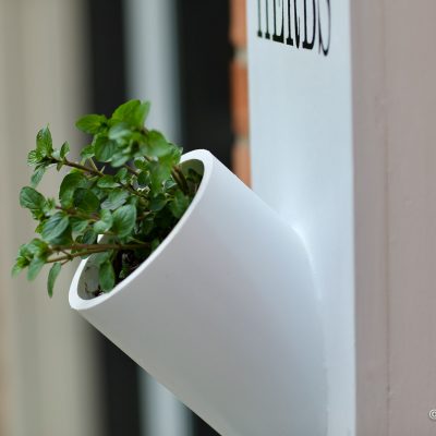 How to Make an Herb Garden Planter Using PVC Piping