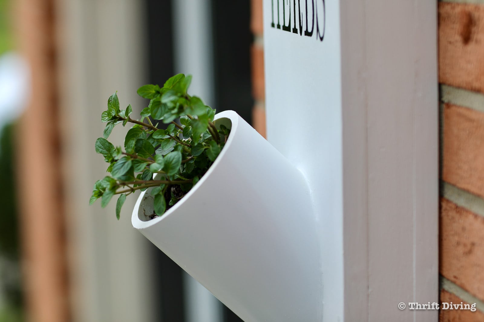 How to Make an Herb Garden Planter Using PVC Piping - Thrift Diving Blog