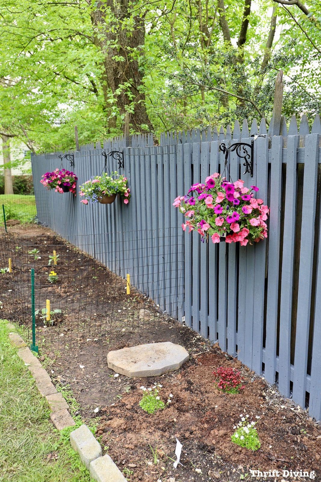How to Use a Paint Sprayer to Paint a Wood Fence - Pretty blue fence makeover with a garden and flowers. - Thrift Diving
