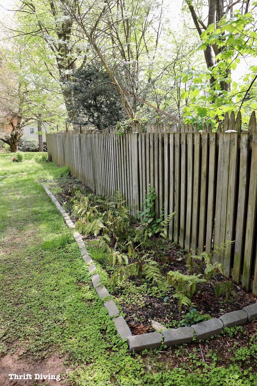 How to Use a Paint Sprayer to Paint a Wood Fence - BEFORE - See this ugly fence makeover! - Thrift Diving