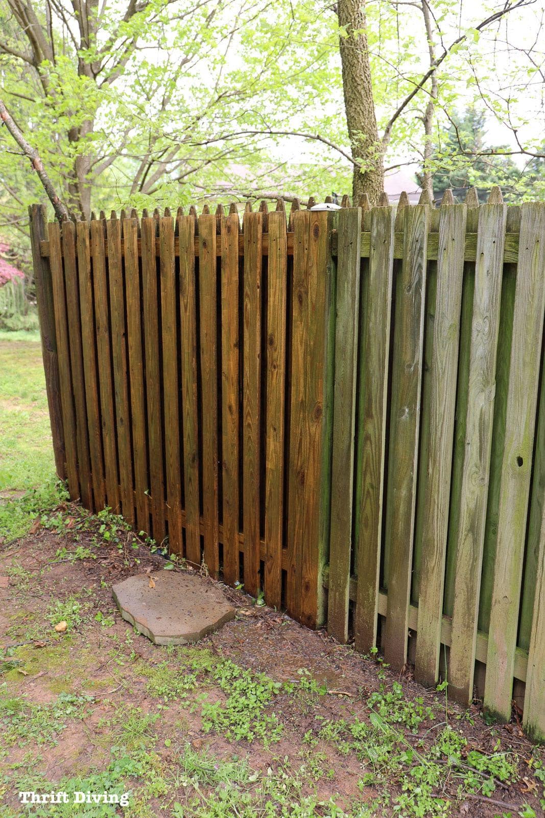 How to Use a Paint Sprayer to Paint a Wood Fence - You must pressure wash the fence first before painting to remove the mold and green scum. - Thrift Diving