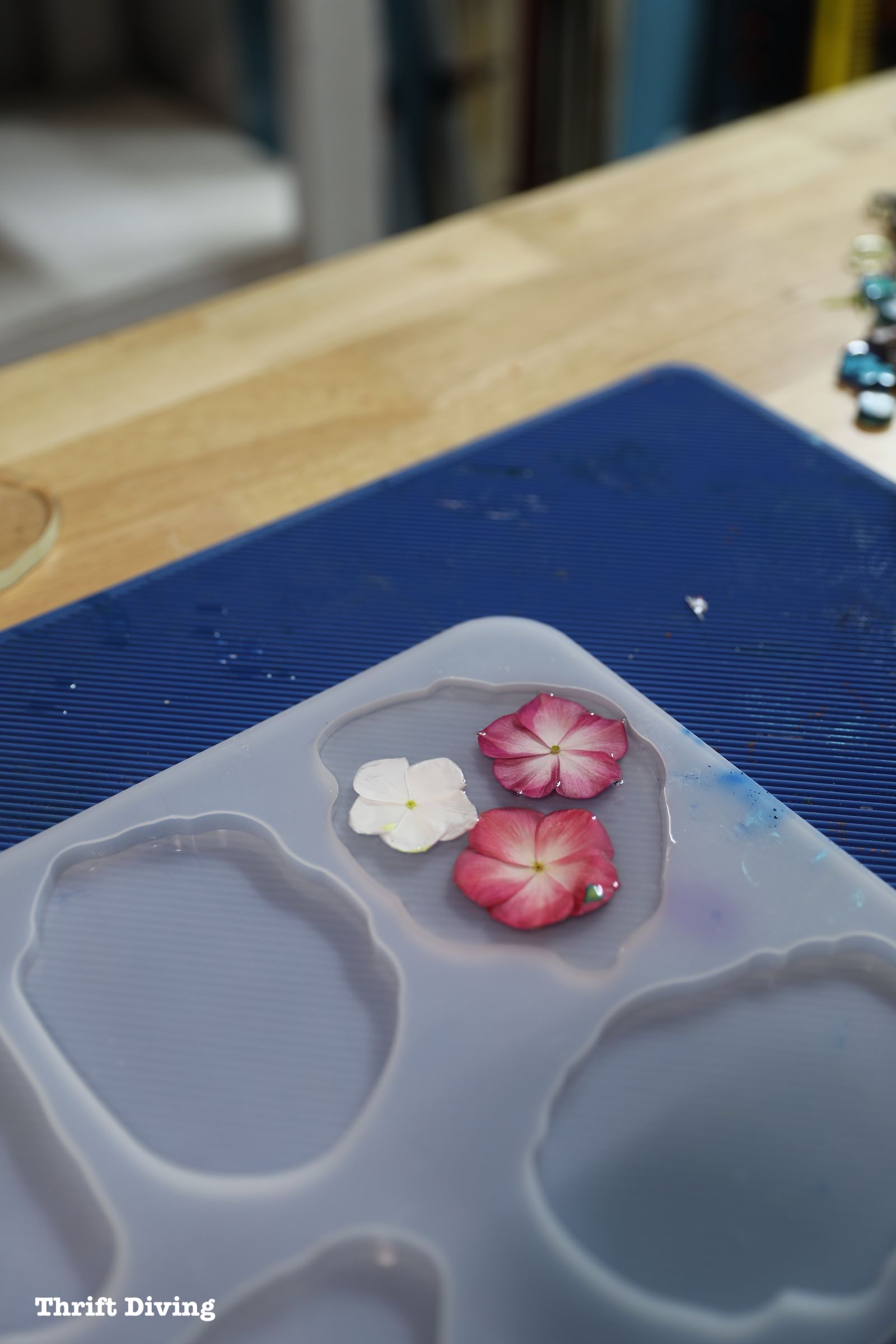 Making epoxy flower art drink coasters - Epoxy fresh flowers - Thrift Diving