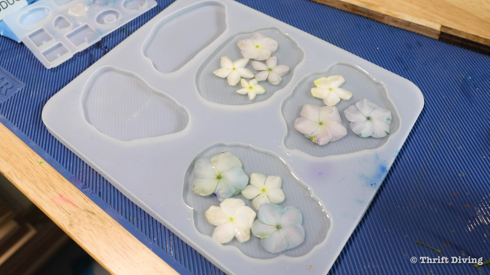 Making epoxy flower art drink coasters - Epoxy will bleach out fresh flowers - Thrift Diving