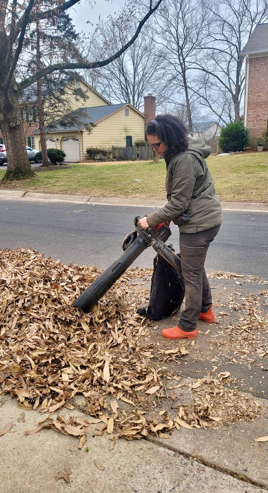 Leaf blower vacuums can blow leaves into a pile, then suck them up to mulch them.