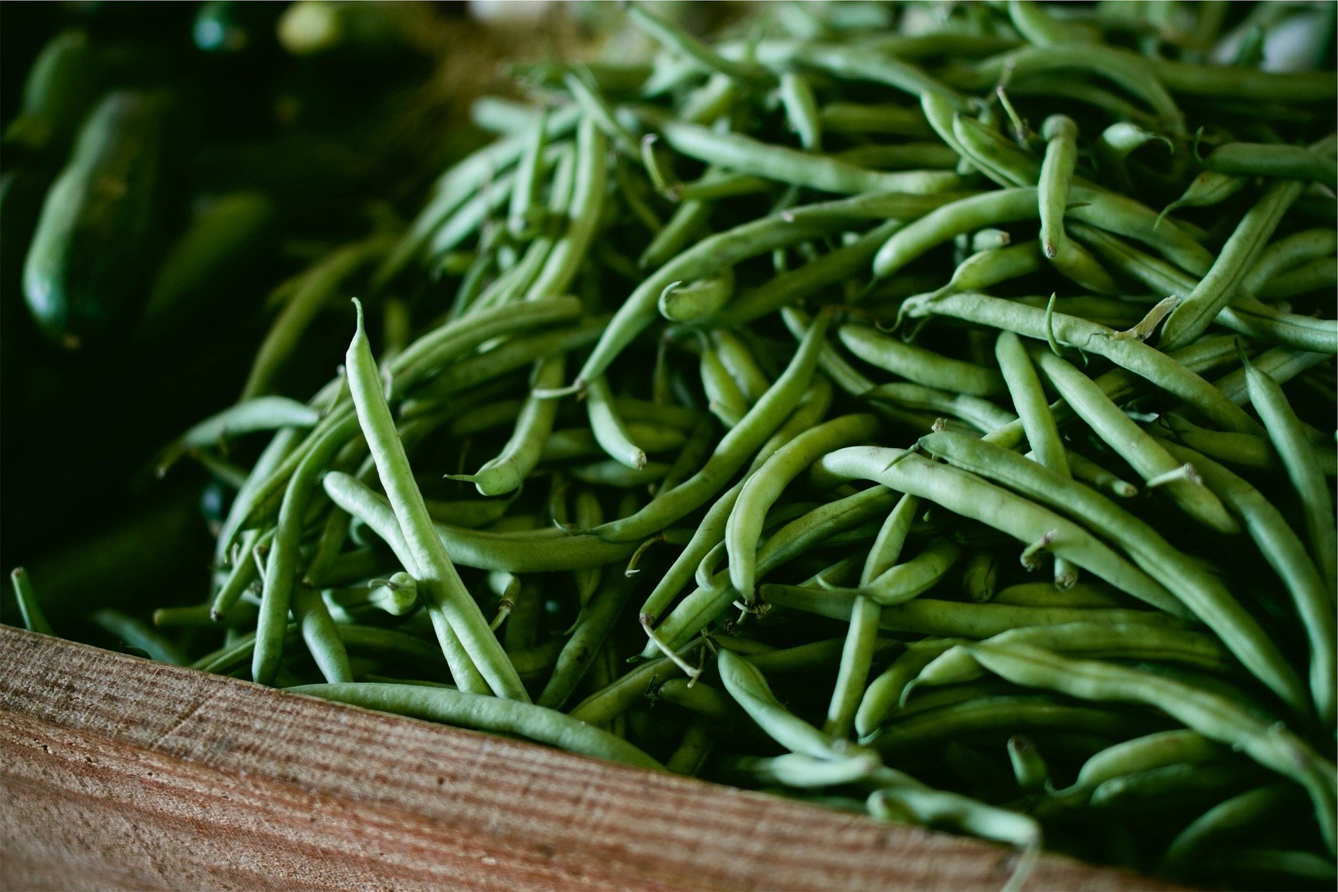 0 Tips for a Successful Garden This Spring! - Grow string beans or pole beans for best results in your garden. - Thrift Diving