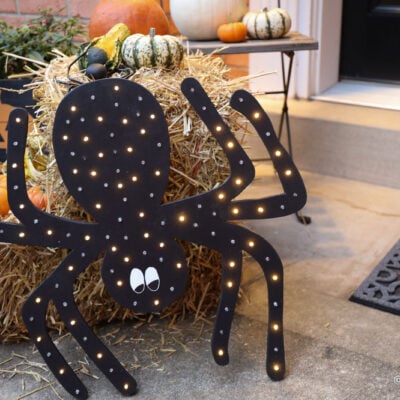 How to Make a Halloween Spider with Lights