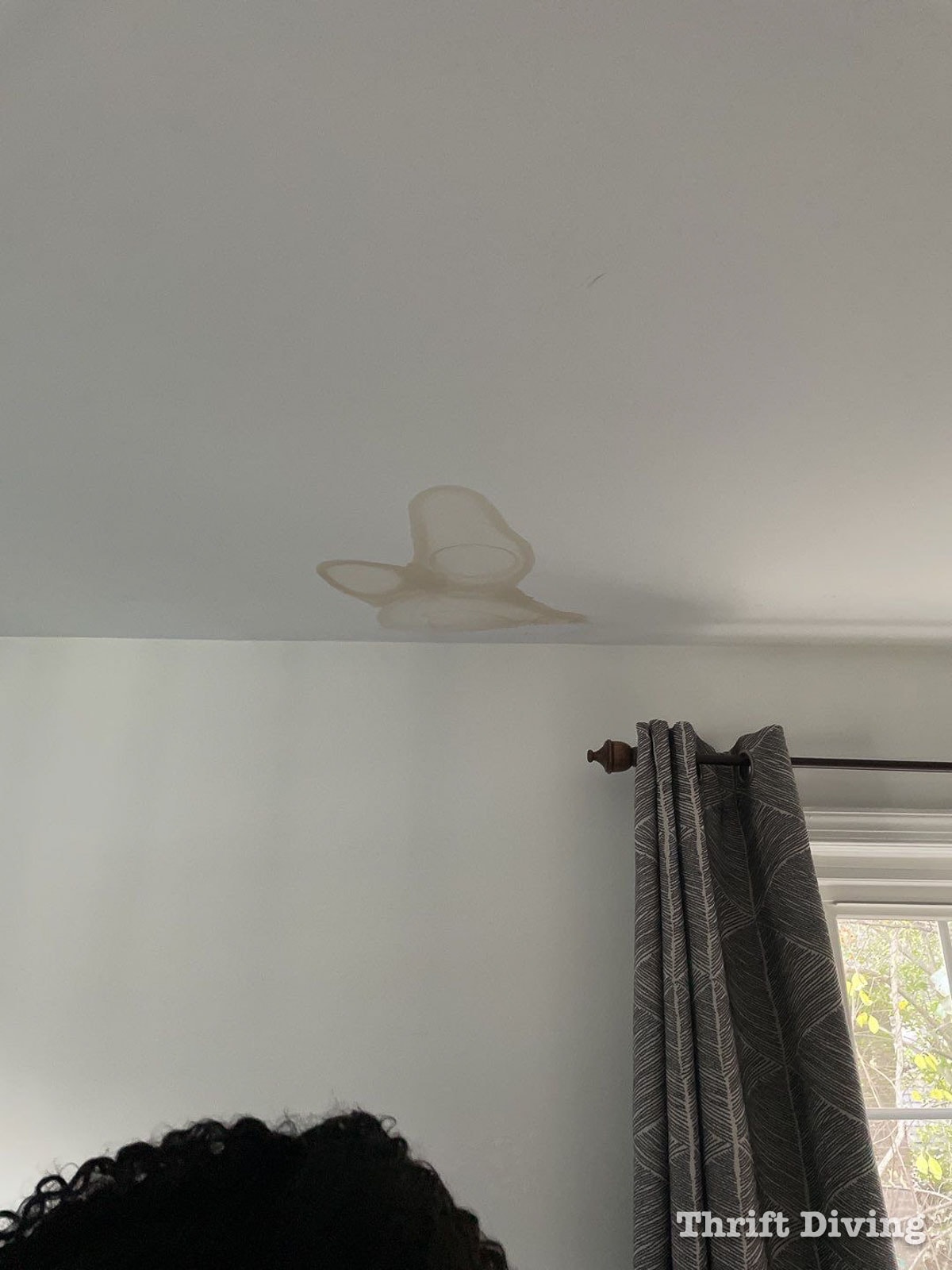 Leak stain on the ceiling. - 7 Home Maintenance Tasks - Thrift Diving
